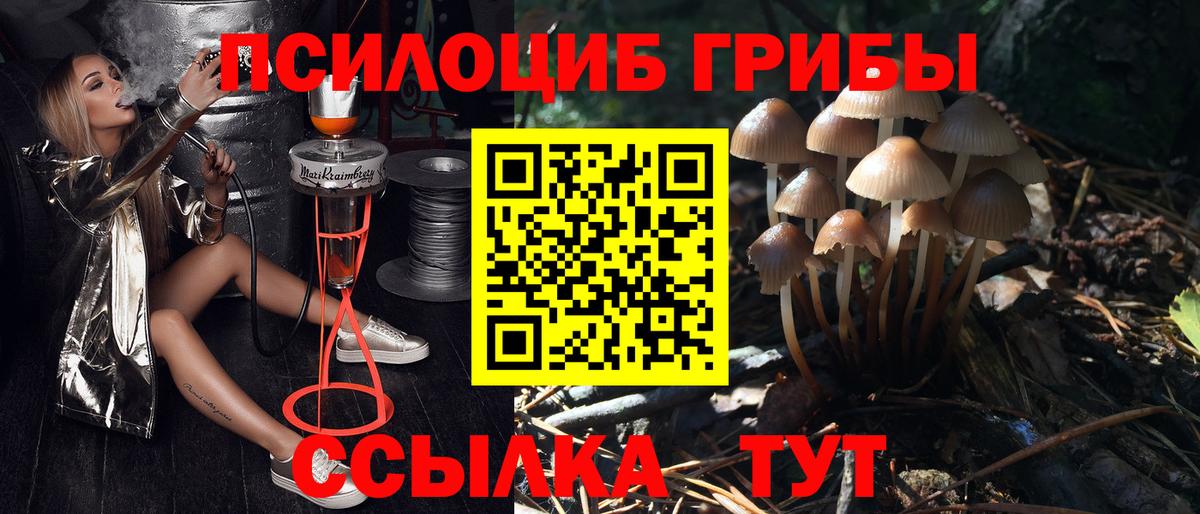 хочу наркоту  Вход с VPN  Елец  Псилоцибиновые грибы MAGIC MUSHROOMS 