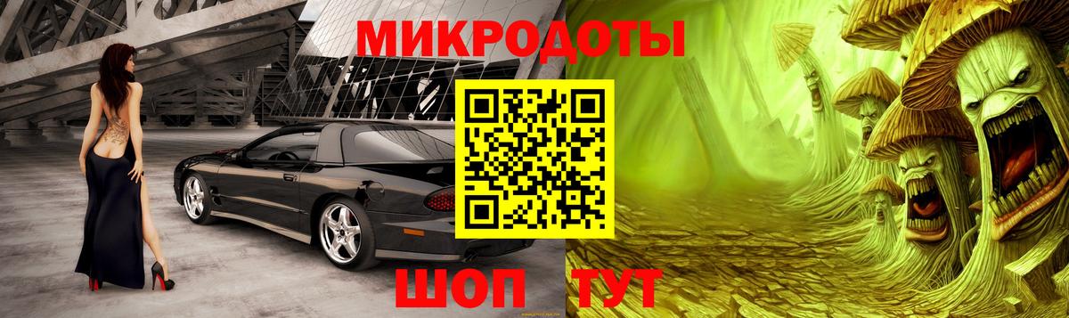 Галлюциногенные грибы Psilocybe Елец